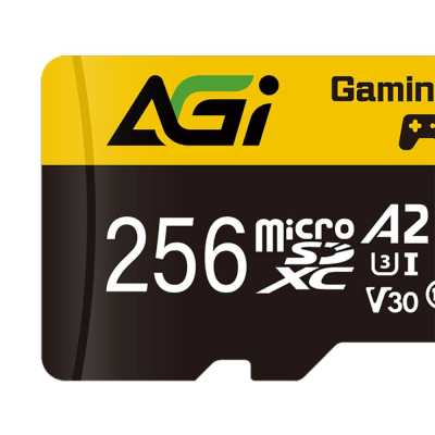 карта памяти AGI 256GB AGI256GGSTF138