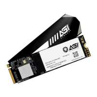 SSD диск AGI AI198 1Tb AGI1T0G16AI198 Черный