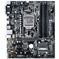 материнская плата ASUS Prime B250M-A CSM