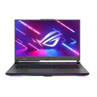 ноутбук ASUS ROG Strix G17 G713PI-LL044 90NR0GG4-M002D0 Серый
