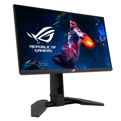 монитор ASUS ROG Swift PG248QP Черный