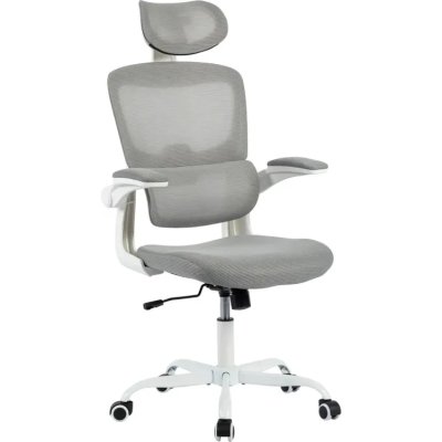 офисное кресло Byroom Challenge HS-6305W-2-G серый
