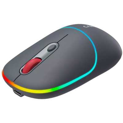 мышь Canyon MW-22 CNS-CMSW22DG Темно-серый