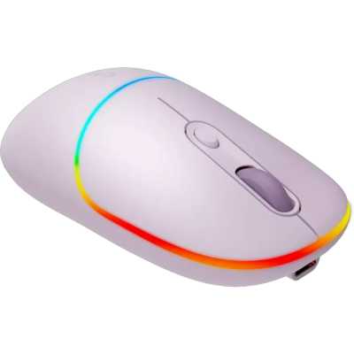 мышь Canyon MW-22 CNS-CMSW22PR Темно-серый