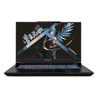 ноутбук Colorful EVOL X17 Pro Max A10003400442 Серый