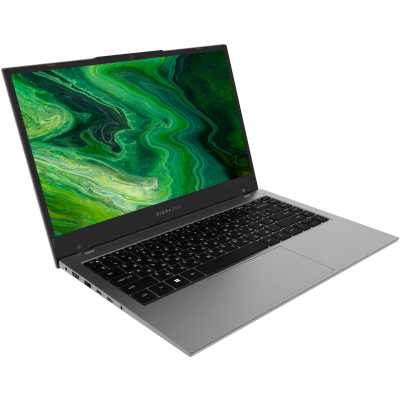 ноутбук Digma Pro Fortis M DN14R5-ADXW01 Серый