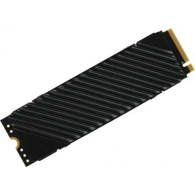 SSD диск Digma Top G3 1Tb DGST4001TG33T Черный