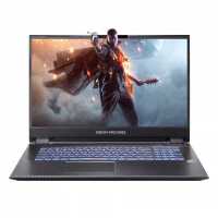 ноутбук Dream Machines RG2070S-17RU31 Черный