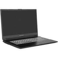 ноутбук Dream Machines RG3060-17EU37 Черный