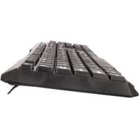 клавиатура ExeGate Professional Standard LY-404 EX264084RUS Черный