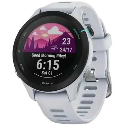 смарт часы Garmin Forerunner 255S 010-02641-33