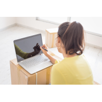 ноутбук HP Pavilion x360 14-dh0000ur Серебристый