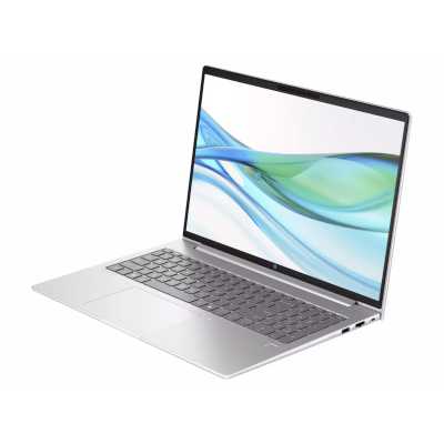 ноутбук HP ProBook 465 G11 901H4AV Серебристый
