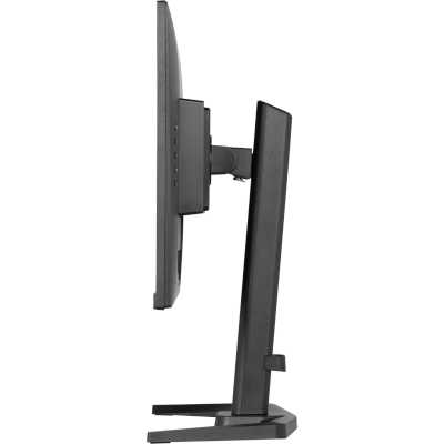монитор Iiyama G-Master Red Eagle GB2470HSU-B6 Черный