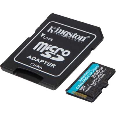 карта памяти Kingston Canvas Go! Plus 256GB SDCG4/256GB