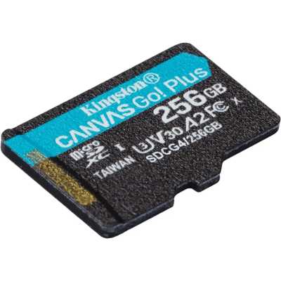 карта памяти Kingston Canvas Go! Plus 256GB SDCG4/256GBSP