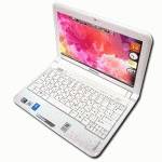 нетбук Lenovo IdeaPad S10 59024883