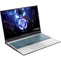 ноутбук Machenike L15C L15C-i512450H30504GF144LSMS0R1 Серебристый