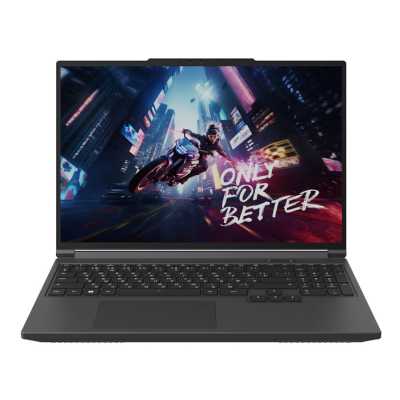 ноутбук Maibenben X-Treme Typhoon X16D-i72846GQSHGRE0 Серый