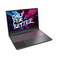 ноутбук Maibenben X525 X525FSFMLGRE1 Серый