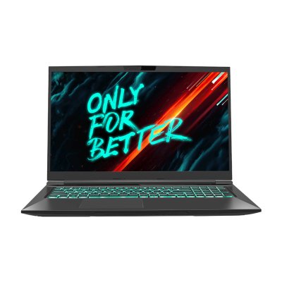 ноутбук Maibenben X668 X668QSFELBRE0 Черный