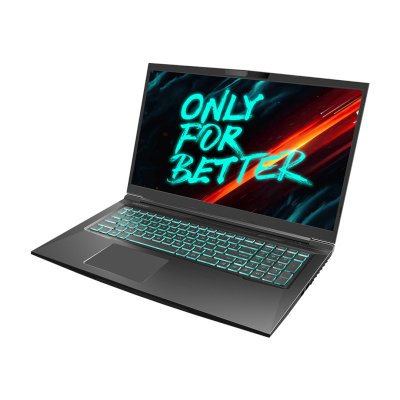 ноутбук Maibenben X668 X668QSFELBRE0 Черный