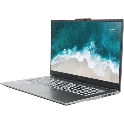 ноутбук Nerpa Caspica I552-17VA085202G Серый