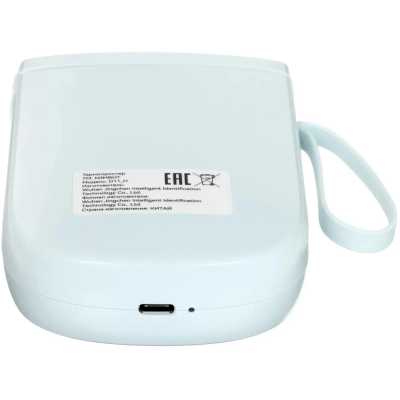 принтер этикеток Niimbot D11 H Light Blue голубой