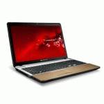 ноутбук Packard Bell EasyNote TSX66-HR-525RU Коричневый