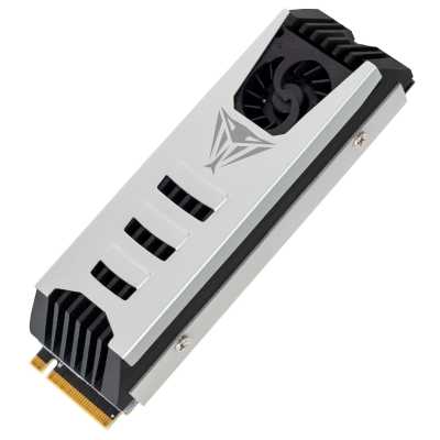 SSD диск Patriot Viper PV553 1Tb PV553P1TBM28H Черно-белый