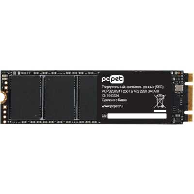 SSD диск PC PET 256Gb PCPS256G1T Черный