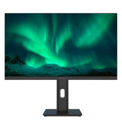 монитор Raskat I24F10DAP Черный