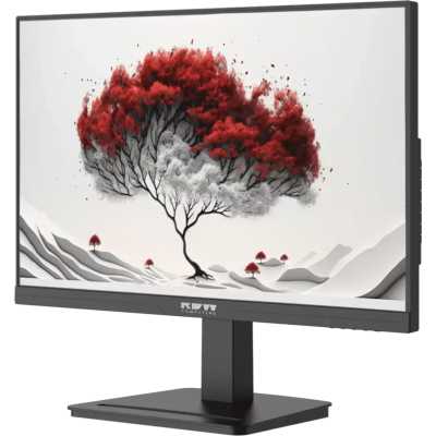 монитор RDW Computers 2401K/F05В0100V2A1H Черный