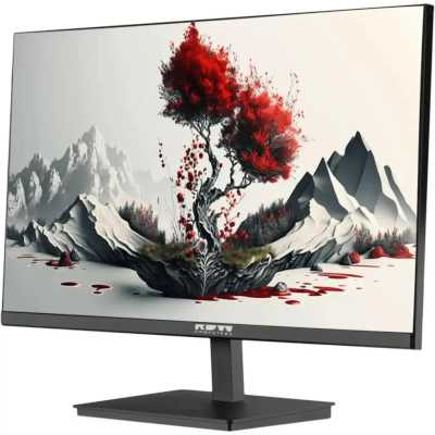 монитор RDW Computers 2401K/F09B3120V2A1B Черный