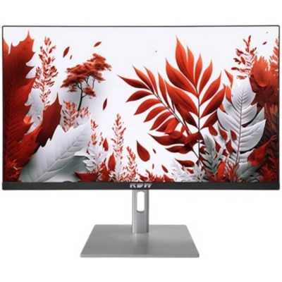 монитор RDW Computers 2407K/F14В3120V2A1B Черный