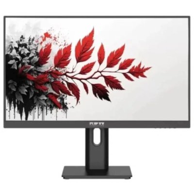 монитор RDW Computers 2701K/F00B3100V2A1 Черный