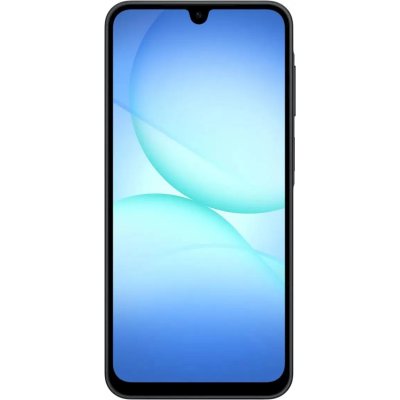 смартфон Samsung Galaxy A17 6/128GB Black SM-A175FZKCCAC черный