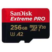 карта памяти SanDisk 256GB SDSQXCZ-256G-GN6MA