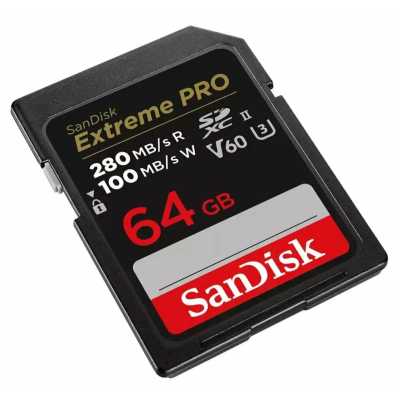 карта памяти SanDisk 64GB SDSDXEP-064G-GN4IN