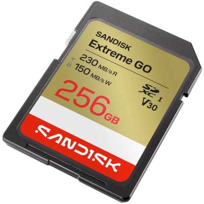 карта памяти SanDisk Extreme Go 256GB SDSDXGN-256G-GNCIN
