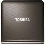 нетбук Toshiba NetBook NB200-12J