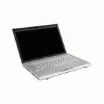 ноутбук Toshiba Tecra R10-116 Серебристый