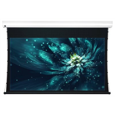 экран для проектора Viewscreen Premium LF-MC113-16:10-WW5-AACW